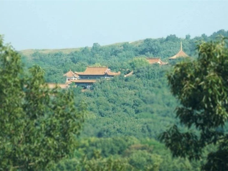天干與地支之間的關系